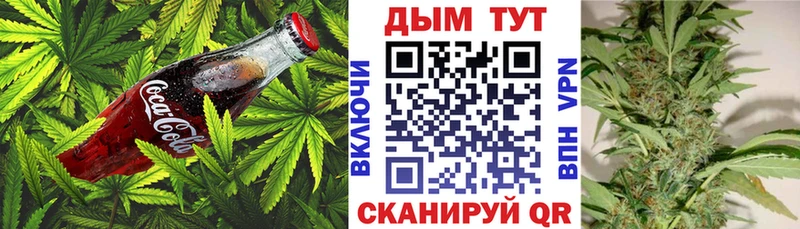 kraken вход  Спасск  Cannafood марихуана 