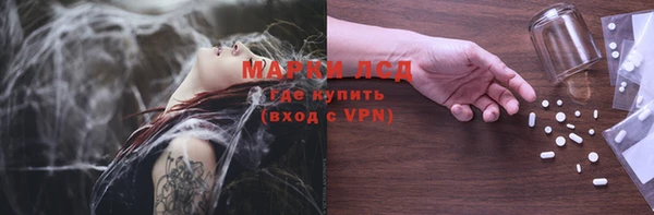 прущие грибы Приозерск
