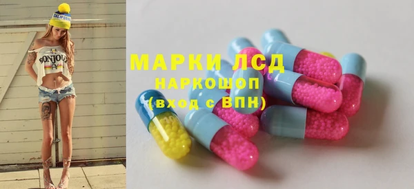прущие грибы Приозерск
