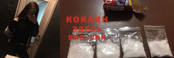 прущие грибы Приозерск