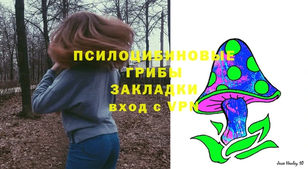 прущие грибы Приозерск