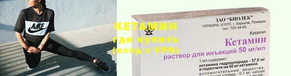 прущие грибы Приозерск
