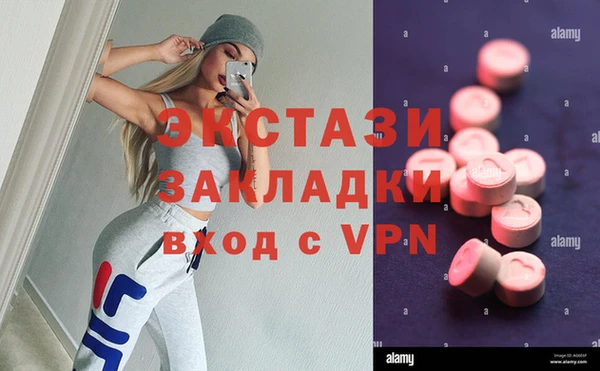 прущие грибы Приозерск