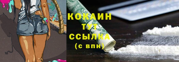 прущие грибы Приозерск